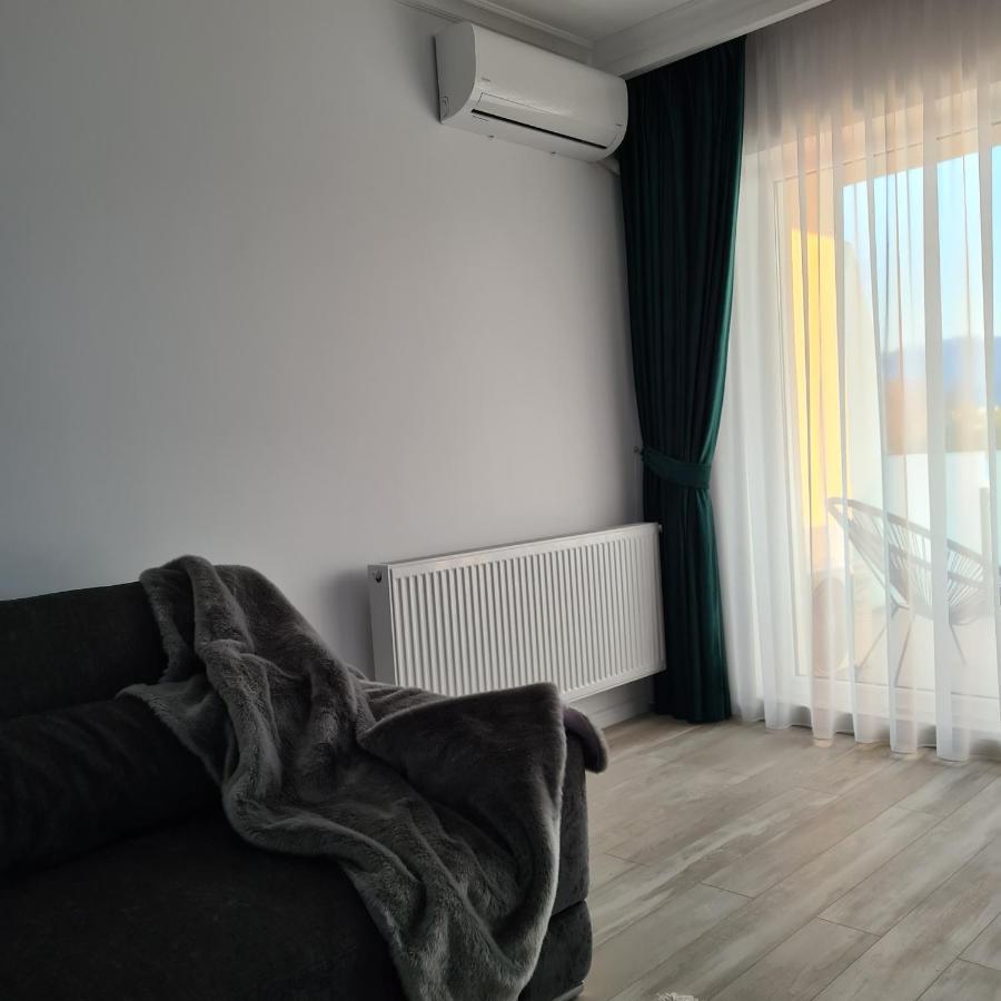 Panoramic Apartment Brasov Bagian luar foto